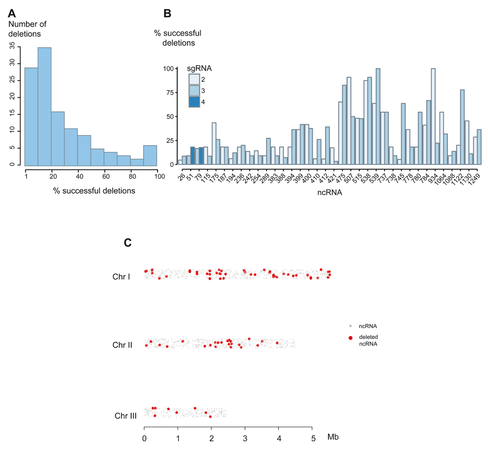 A CRISPR/Cas9-based method and primer... | Wellcome Open Research