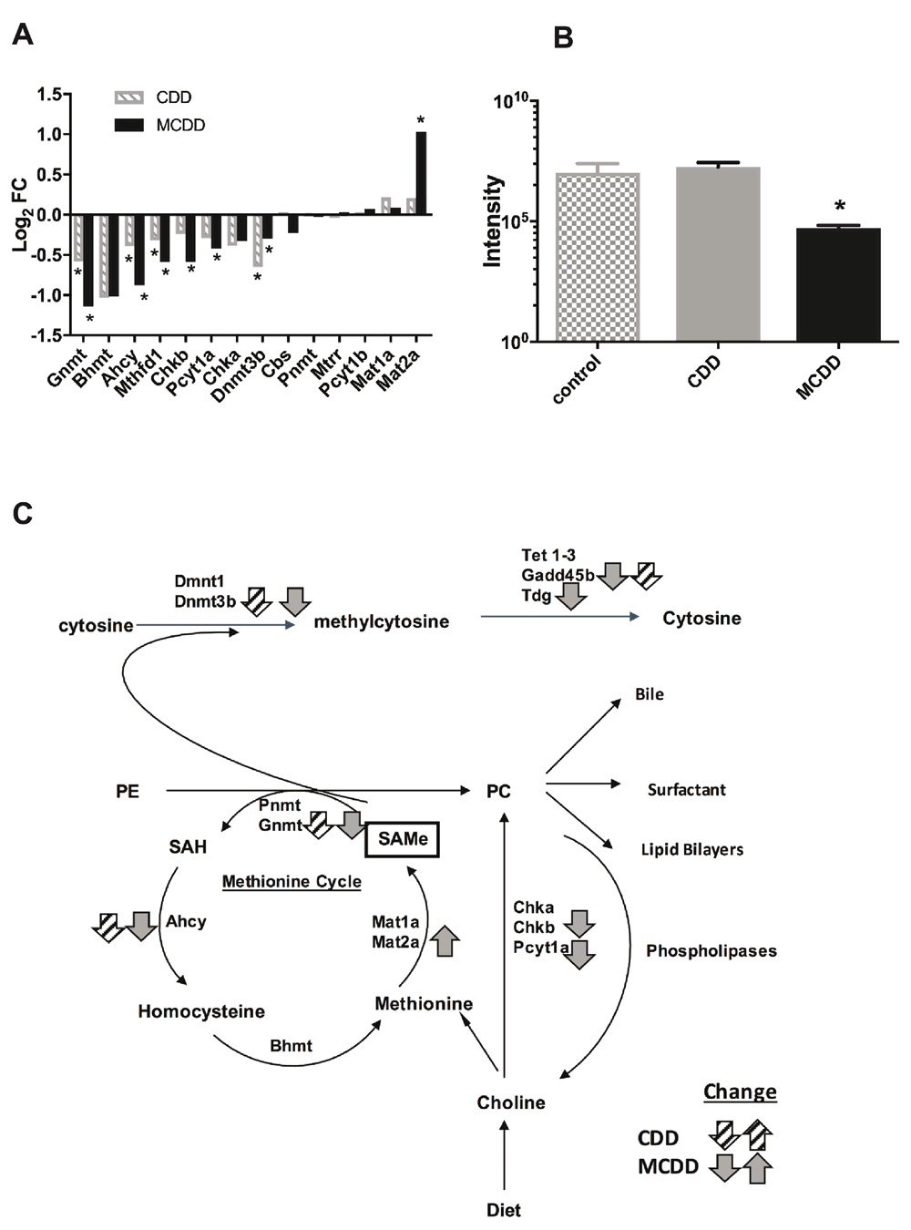 Mcdd Example Methyl donor deficient diets cause... | Wellcome Open Research