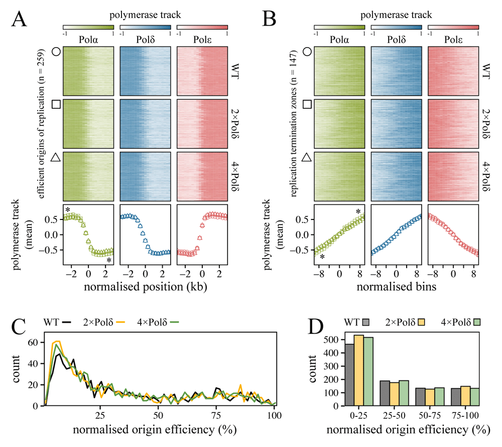 その他 thus adidas Originals ZX 710 - size? UK Exclusive - size? blog