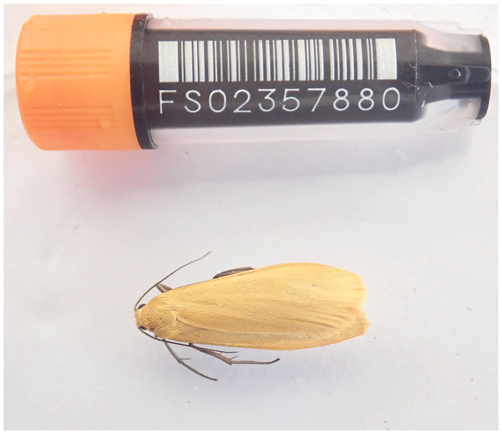 Fahmaページ The Fungal Effector Mlp37347 Alters Plasmodesmata Fluxes and