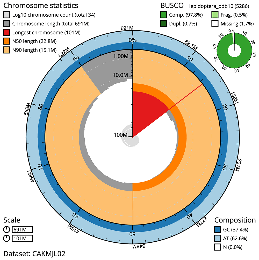 The genome sequence of the Notch-wing... | Wellcome Open Research