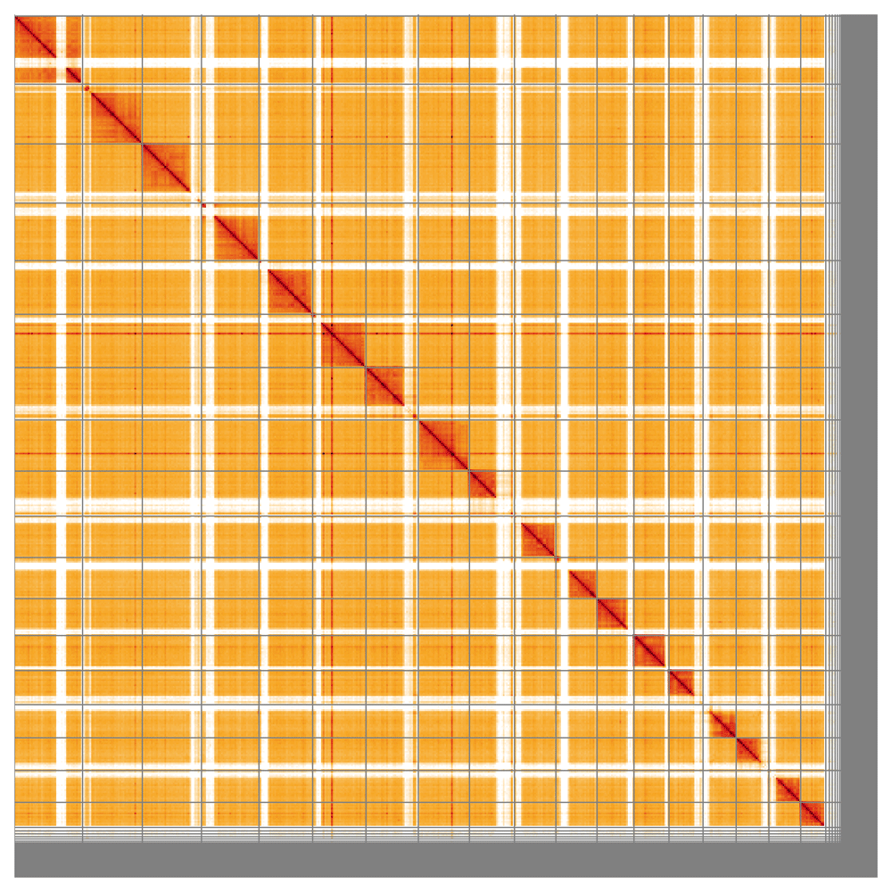 The genome sequence of an ichneumonid... | Wellcome Open Research