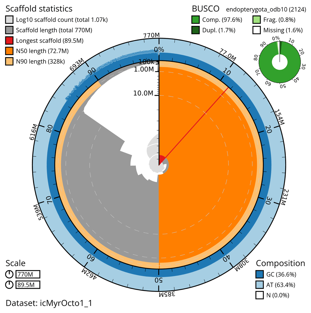 ming ページ The genome sequence of 18-spot Ladybird, | Wellcome Open