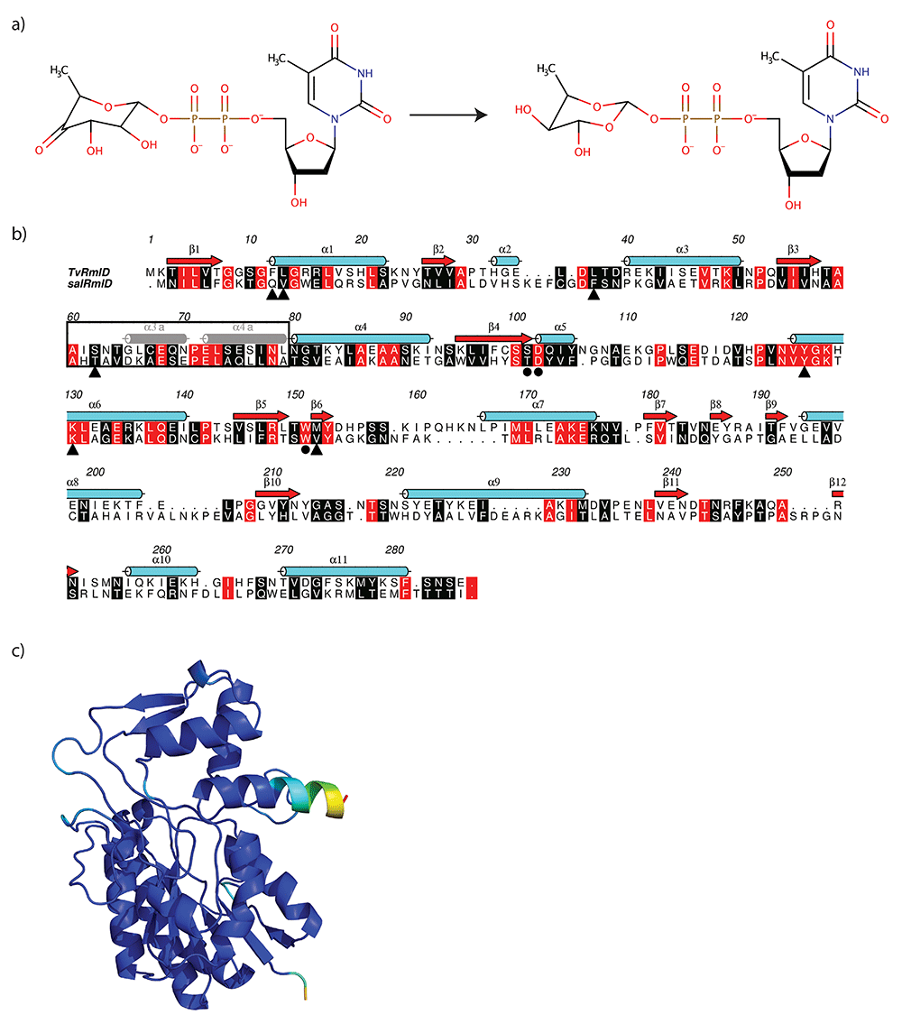 Structural analysis of RmlD, a... | Wellcome Open Research