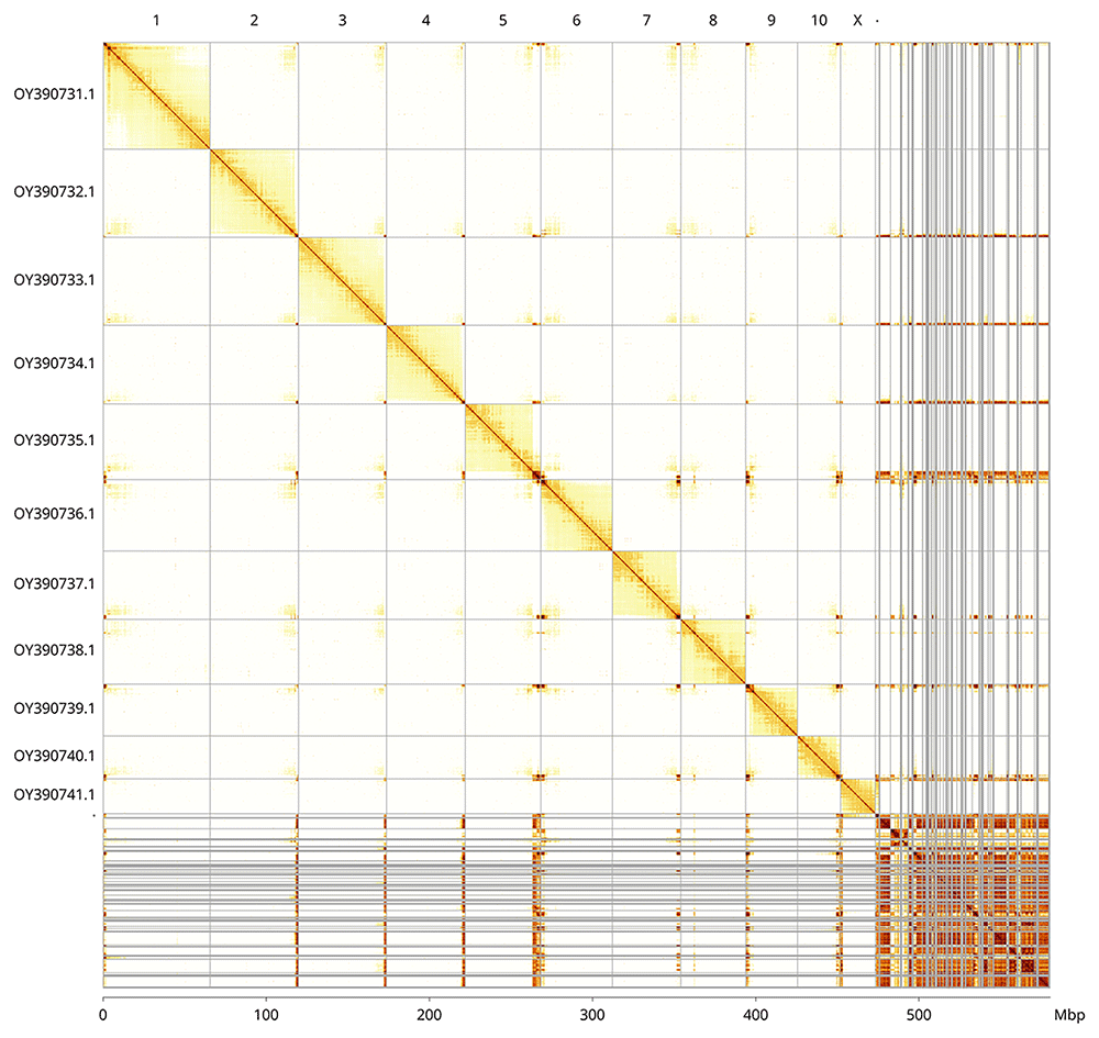 The genome sequence of a dung beetle, | Wellcome Open Research