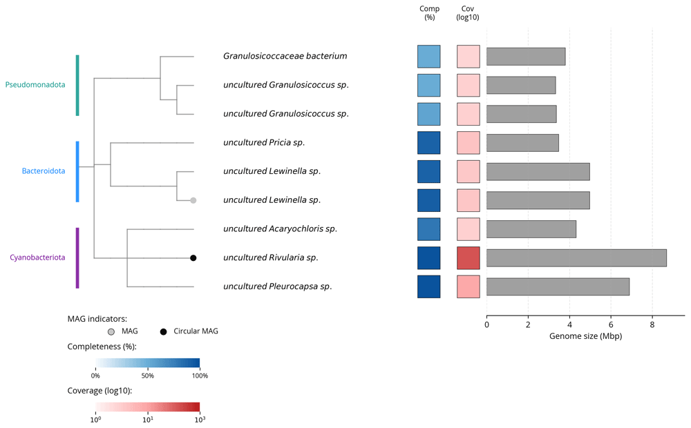 Pretextsnapshot Color Examples The chromosomal genome sequence of the... | Wellcome Open Research