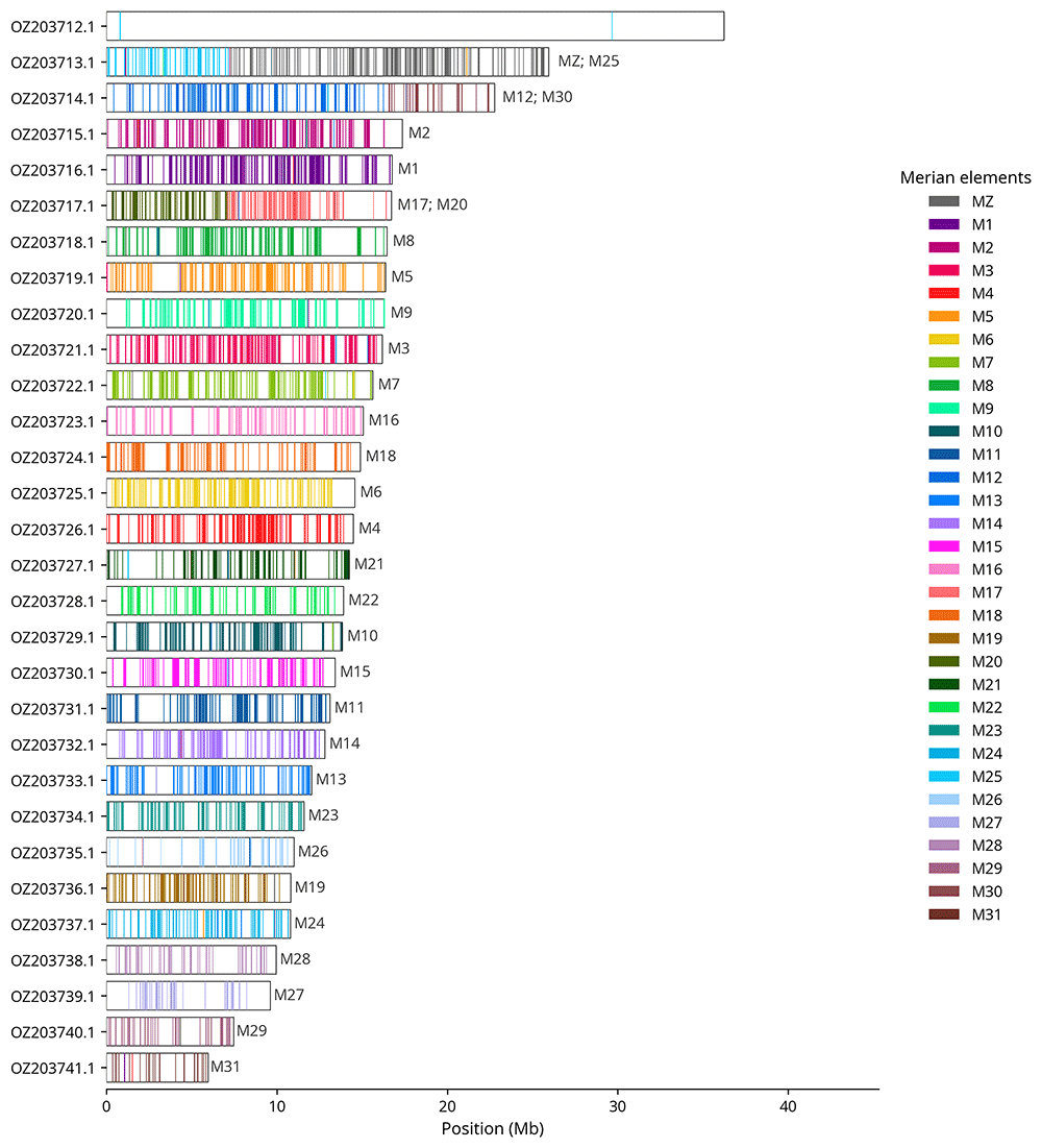 The genome sequence of the Cardinal,... | Wellcome Open Research