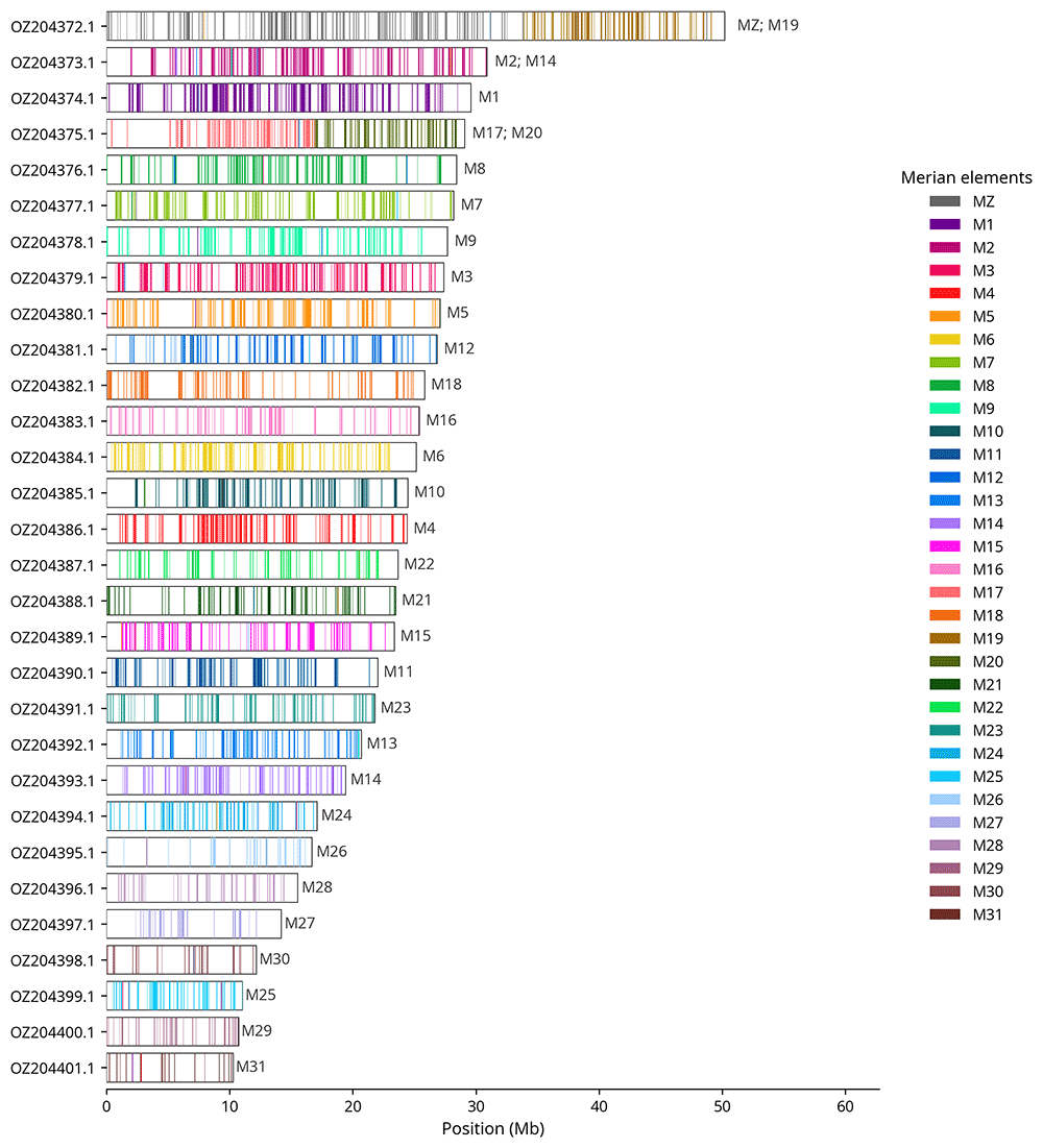The genome sequence of the Yellow-banded... | Wellcome Open Research