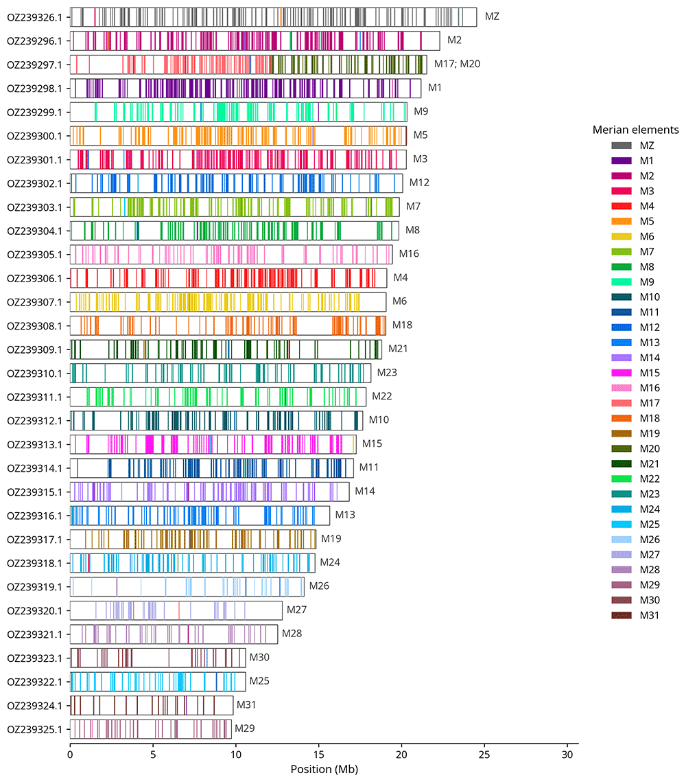 The genome sequence of the noctuid moth,... | Wellcome Open Research