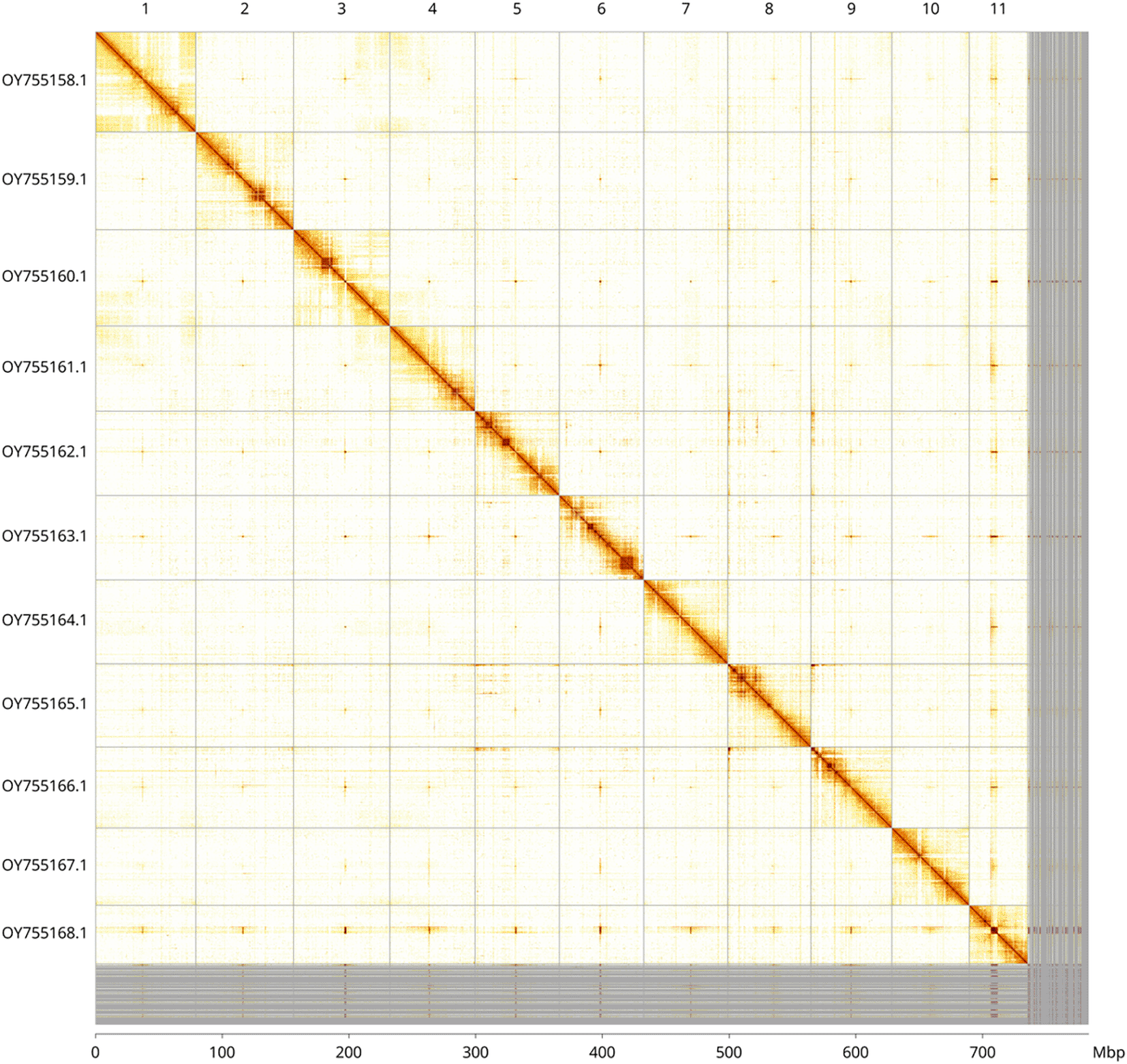 Pretextsnapshot Color Examples The genome sequence of the red ripple... | Wellcome Open Research